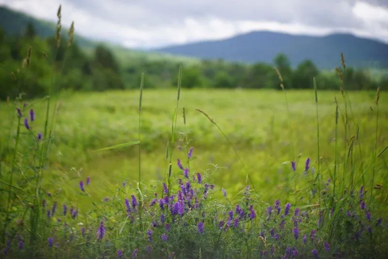 Featured image for post: hello world